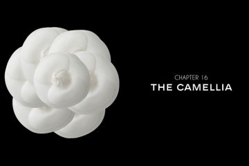 Chapter 16 the Camellia