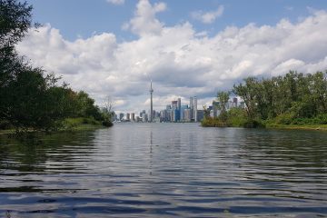 Toronto's skyline viewed from the Island (c) Thea Macaulay