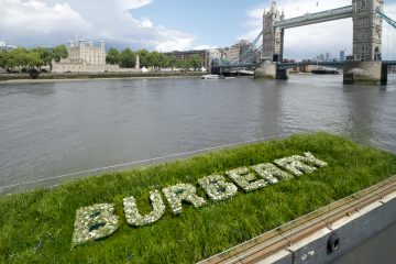 The Burberry Floating Meadow Courtesy of Burberry