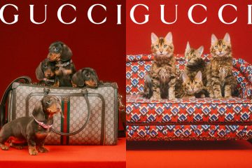 Gucci Pet Collection Creative Director: Alessandro Michele Art Director & Photographer: Max Siedentopf