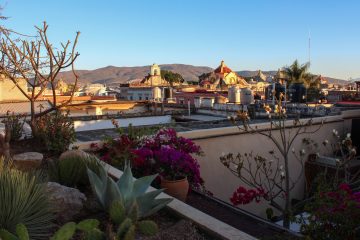 Cactus and agave growing on the rooftop with stunning views of the city and surrounding hills