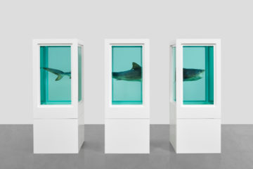 Damien Hirst presents his first major survey exhibition showcasing at MUCA, Munich