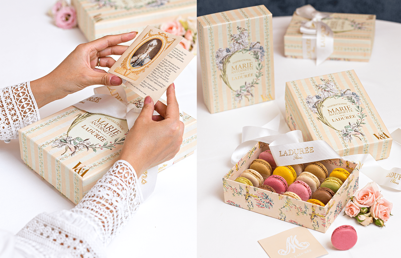 The V&A joins forces with Maison Ladurée on a new gift box