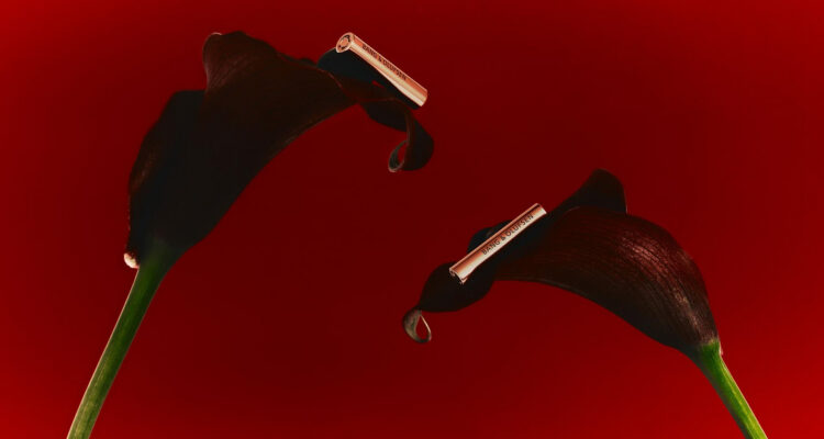 Bang & Olufsen Beo Grace